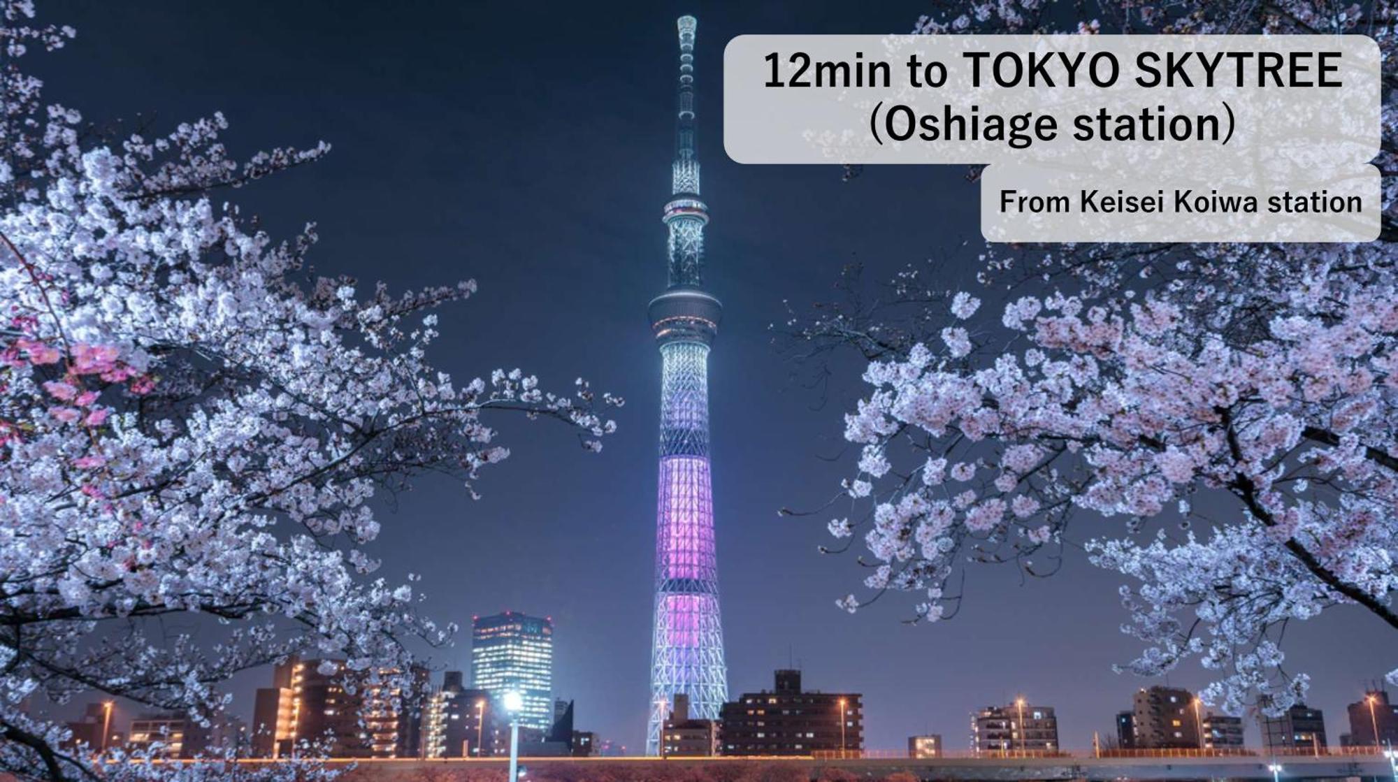 Asahistay -Koiwa, Free Parking O, Whole Family House, Japanese Garden Taste Tokio Exterior foto